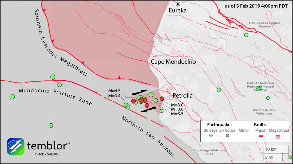 Seismic Swarm in Progress