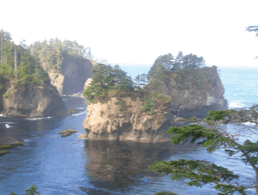 Dire Predictions Target Washington's Puget Sound