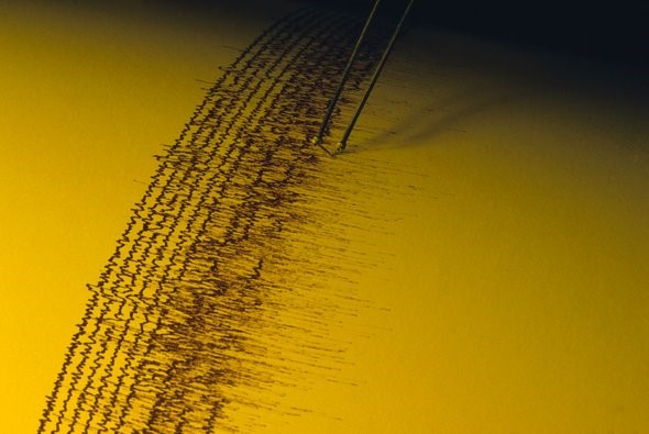 The Hidden Seismic Symphony in Quake Signals