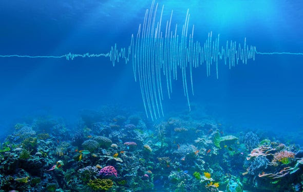 Quake Soundwaves Providing Climate Change Clues