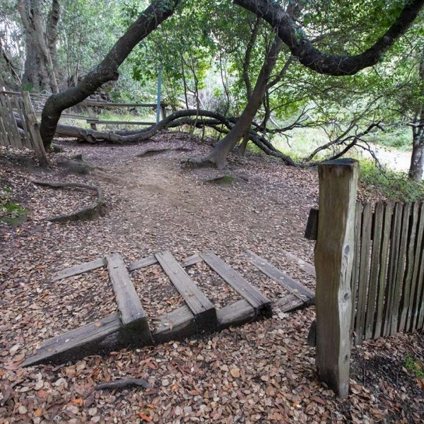 Aztec manuscript the oldest record of quakes in the Americas