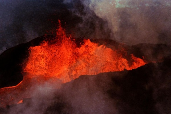 Mauna Loa volcano shaken by 50 quakes daily