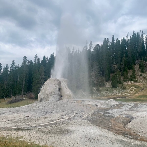 What is ‘normal’ quake activity in Yellowstone National Park?
