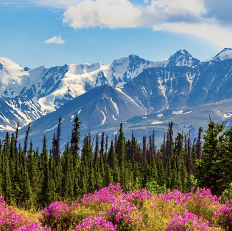 'Sleeping giant' fault beneath Canada could unleash a major earthquake, research suggests