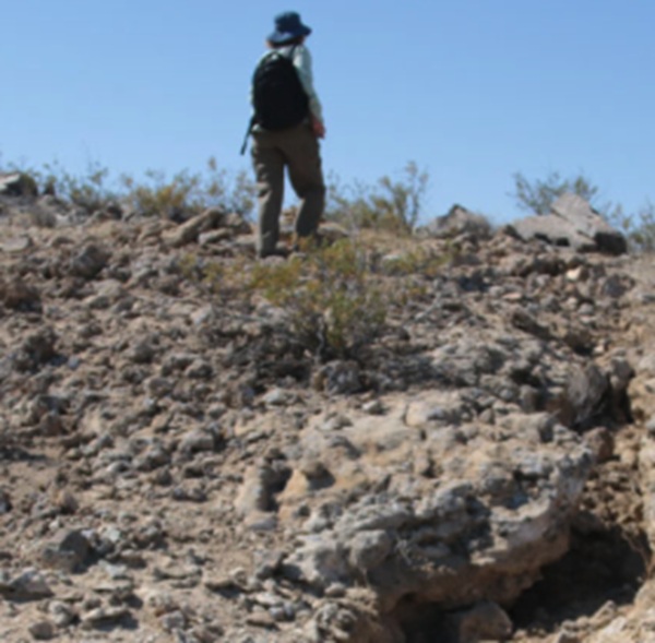 The Ridgecrest Earthquake Left Enduring Damage in Earth’s Deep Crust