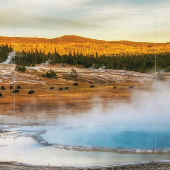 Yellowstone’s earthquakes spark microbial boom deep underground